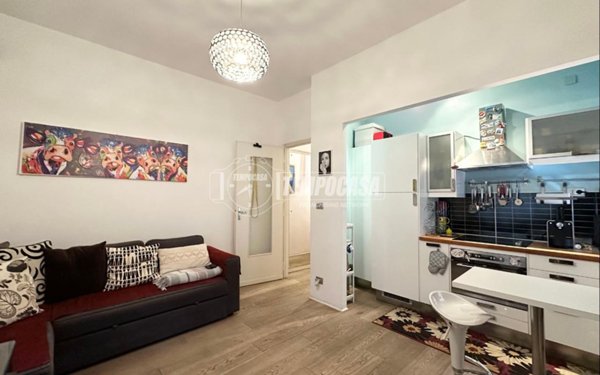 appartamento in vendita a Torino in zona Borgo San Paolo