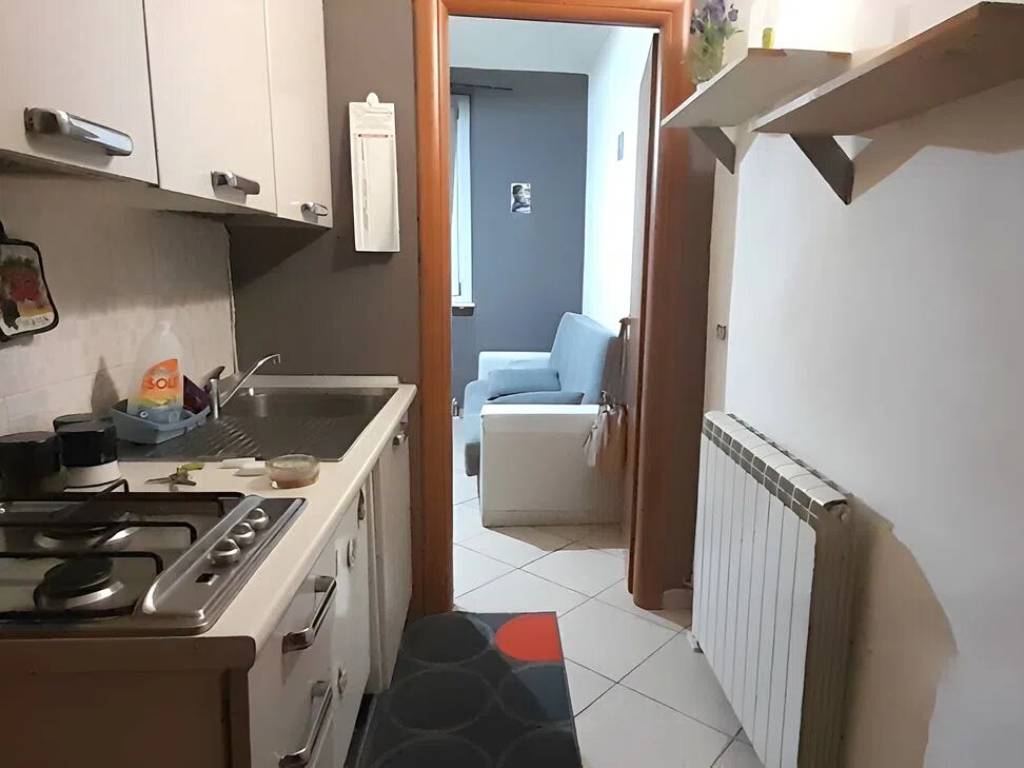 appartamento in vendita a Torino in zona Borgo San Paolo