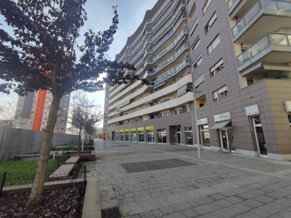 appartamento in vendita a Torino in zona Borgo San Paolo
