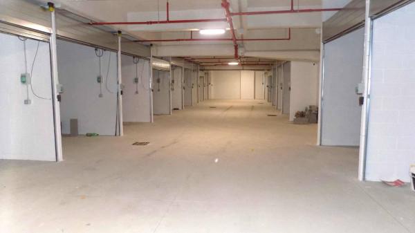 negozio in vendita a Torino in zona Pozzo Strada