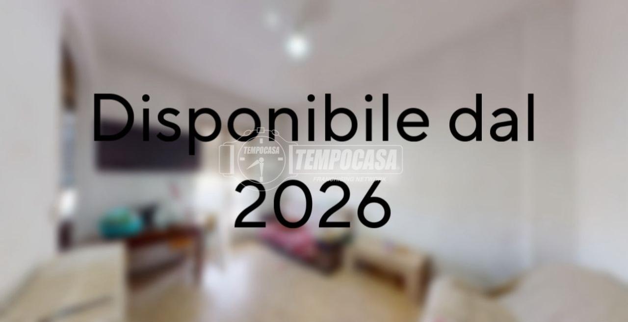 appartamento in vendita a Torino in zona Madonna di Campagna