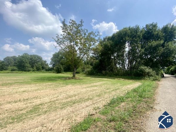 terreno edificabile in vendita a Torino in zona Millefonti