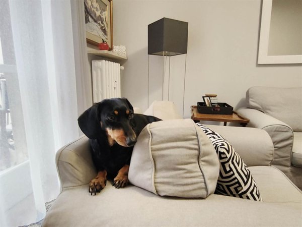 appartamento in vendita a Torino in zona San Salvario