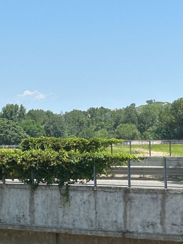 casa indipendente in vendita a Torino