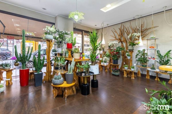 negozio in vendita a Torino in zona Crocetta