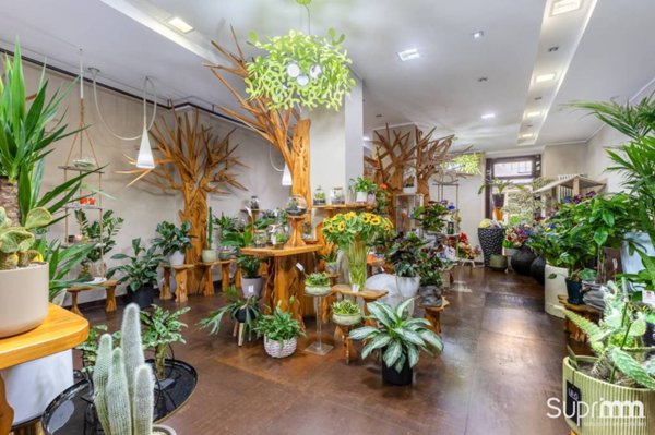 negozio in vendita a Torino in zona Crocetta