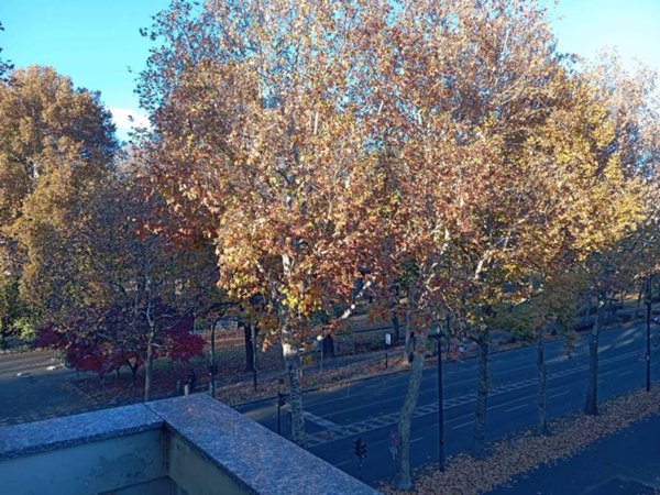 appartamento in vendita a Torino in zona Rosa