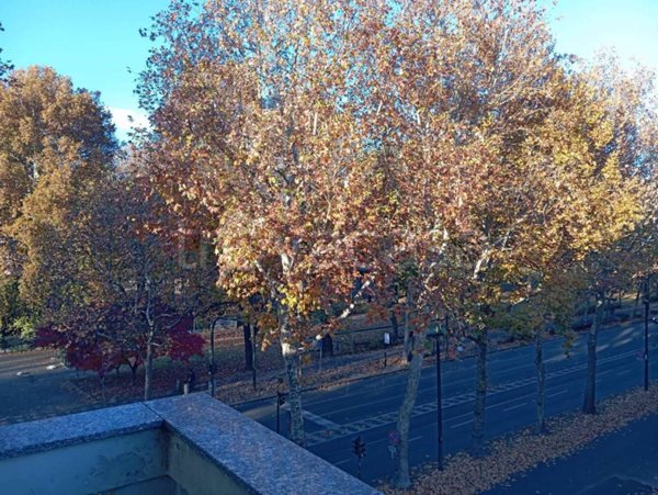 appartamento in vendita a Torino in zona Rosa