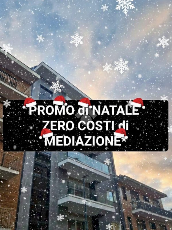 pentavano in vendita a Torino in zona Parella