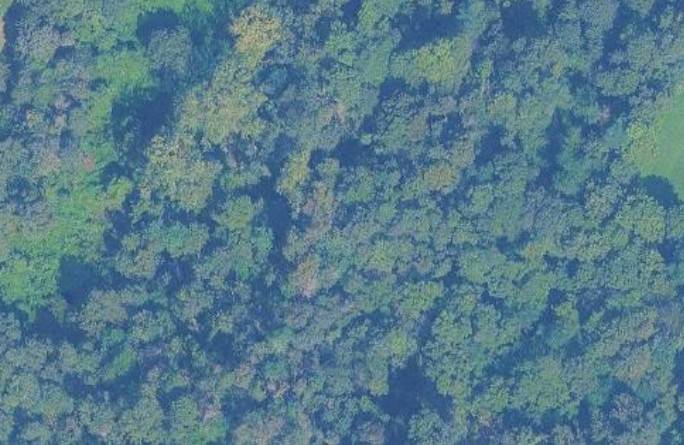 terreno agricolo in vendita a Torino in zona Superga