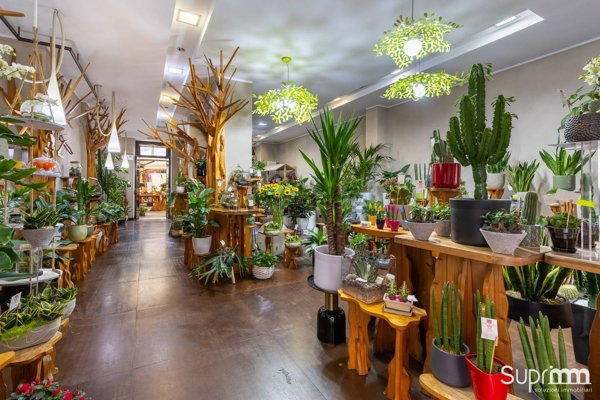 locale commerciale in vendita a Torino in zona Crocetta