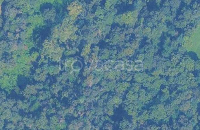 terreno agricolo in vendita a Torino in zona Superga