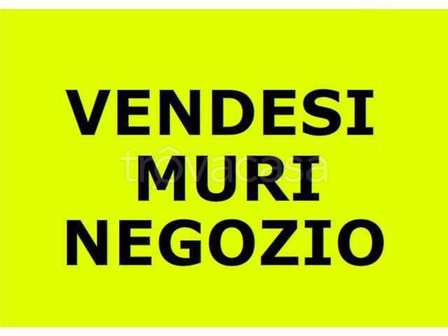 negozio in vendita a Torino in zona Vanchiglia