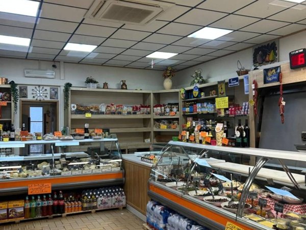 negozio in vendita a Torino in zona Bertolla