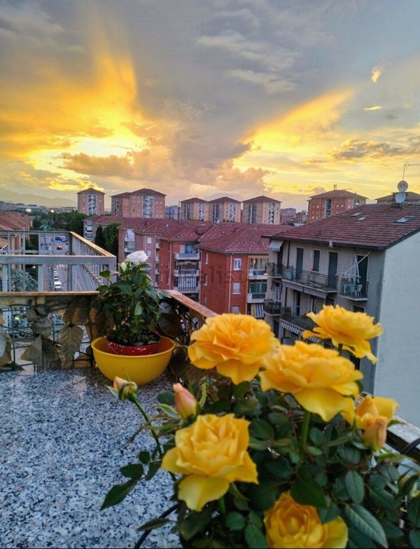 appartamento in vendita a Torino in zona Centro Storico