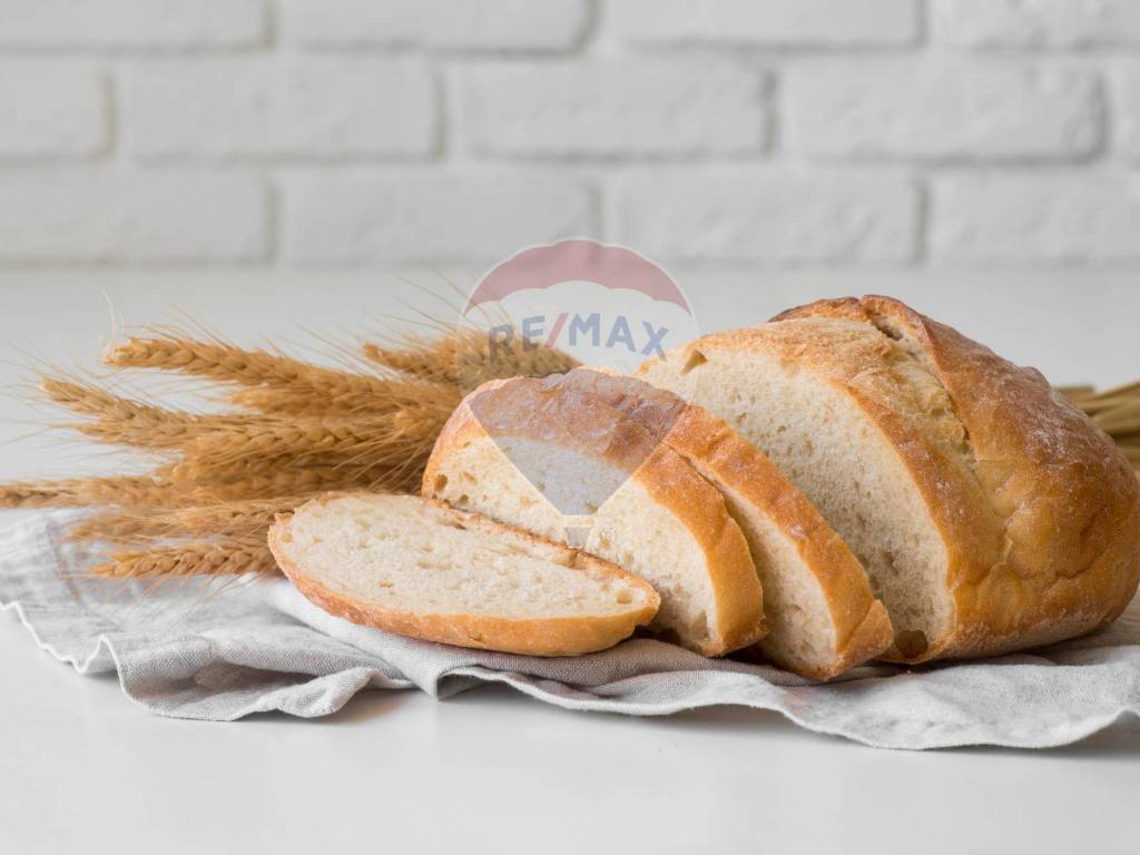 negozio in vendita a Torino in zona Crocetta