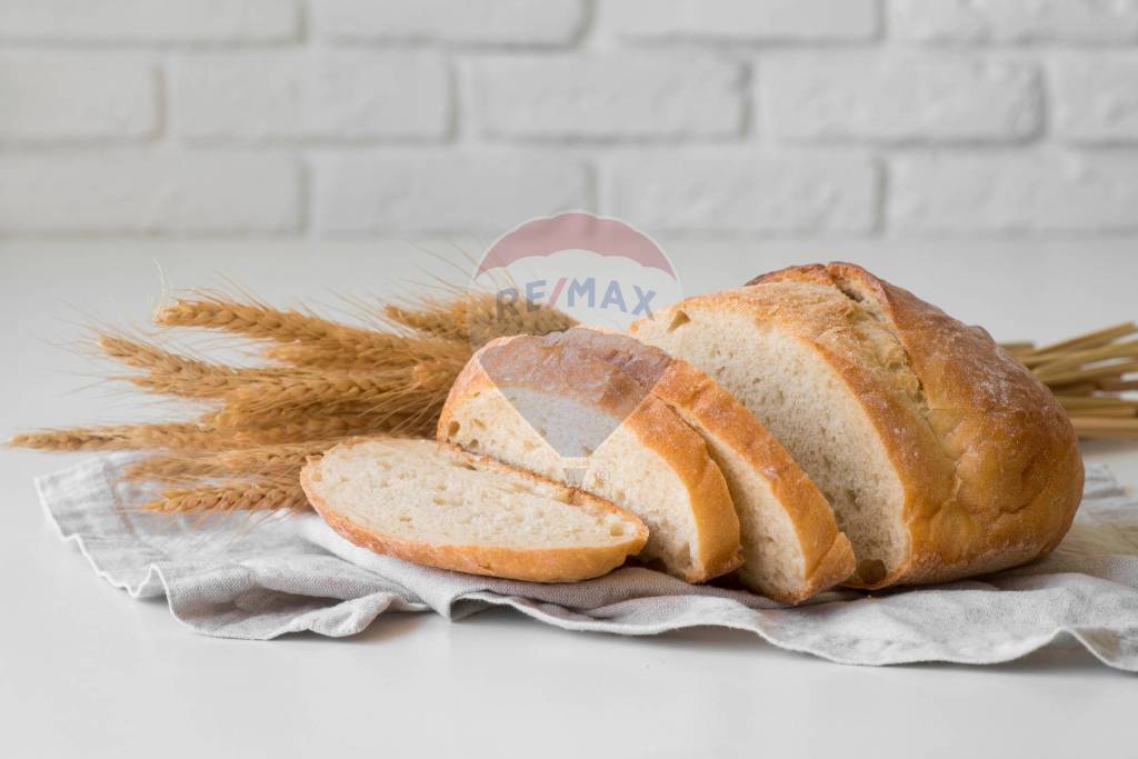 negozio in vendita a Torino in zona Crocetta