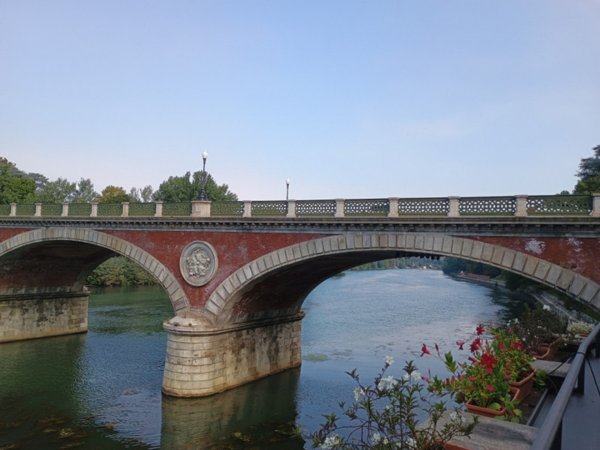 negozio in vendita a Torino