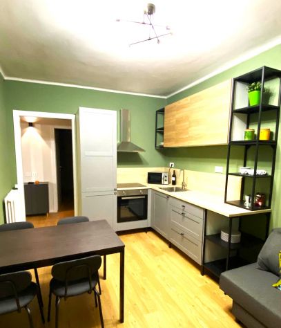 appartamento in vendita a Torino in zona Borgo San Paolo