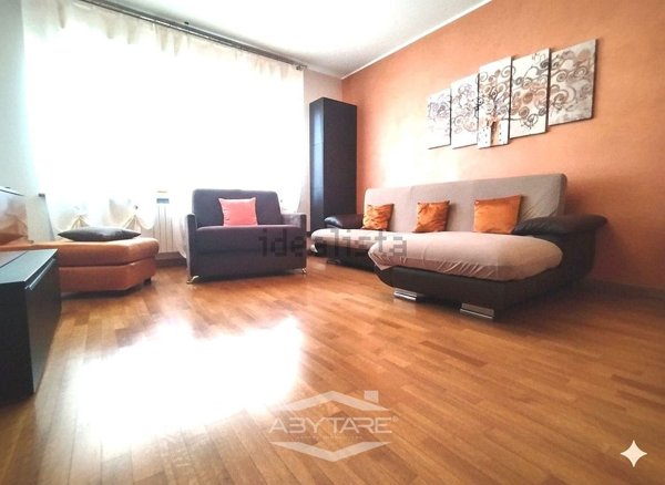 appartamento in vendita a Torino in zona Borgo San Paolo