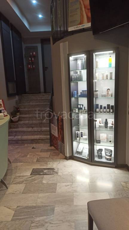 negozio in vendita a Torino in zona Crocetta