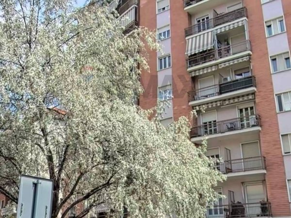 appartamento in vendita a Torino in zona Borgata Vittoria