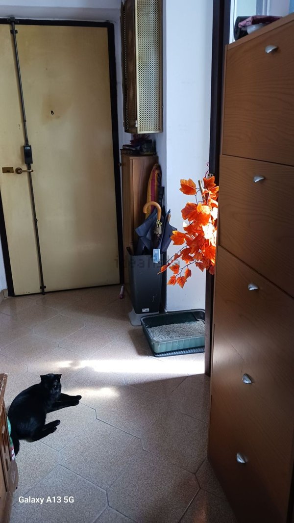 appartamento in vendita a Torino in zona Barriera di Milano