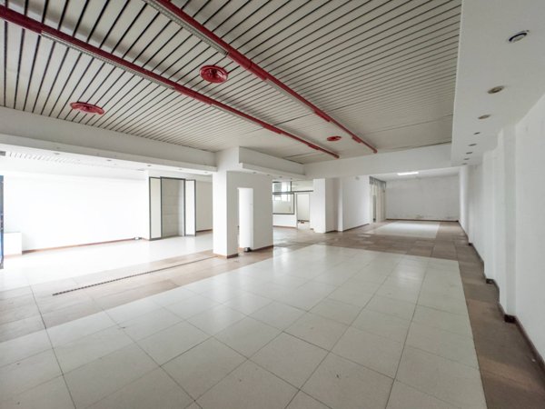 negozio in vendita a Torino in zona Pozzo Strada