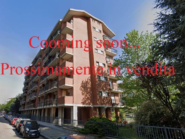 appartamento in vendita a Torino in zona Millefonti