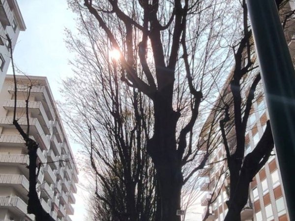 appartamento in vendita a Torino in zona Pozzo Strada