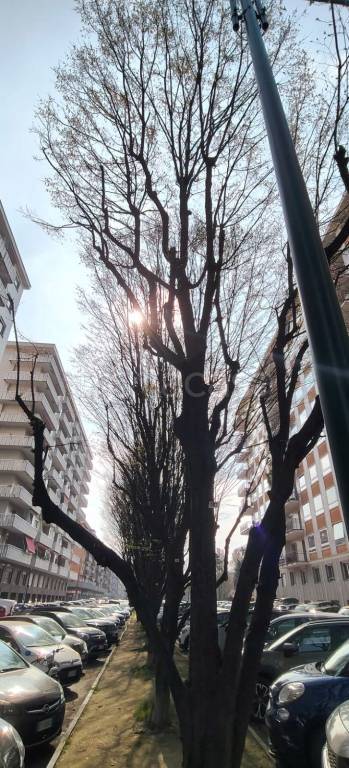 appartamento in vendita a Torino in zona Pozzo Strada