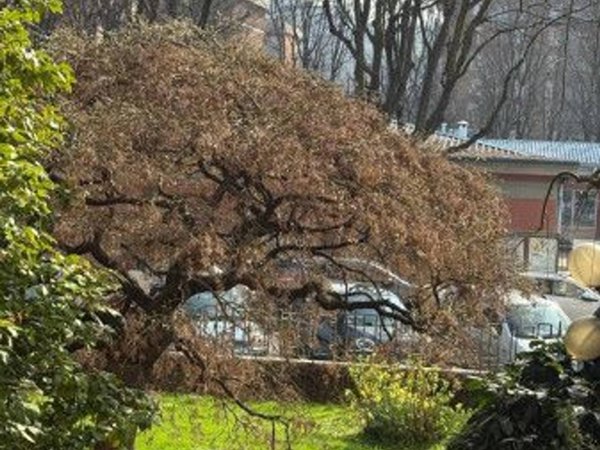 appartamento in vendita a Torino in zona Millefonti