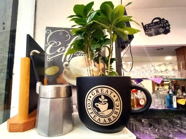 negozio in vendita a Torino in zona San Salvario