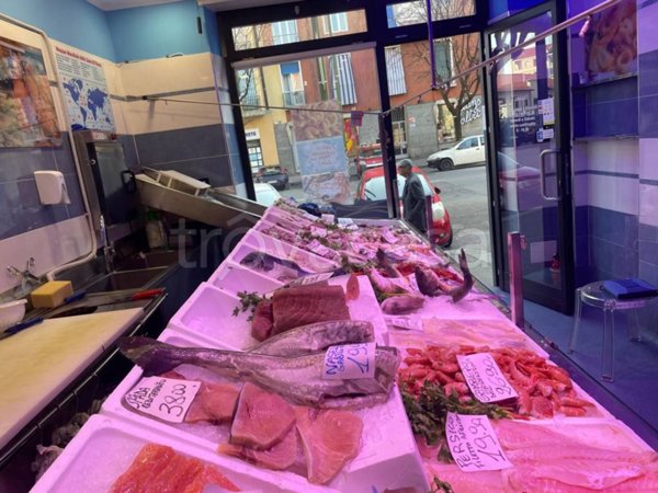 negozio in vendita a Torino in zona Madonna di Campagna