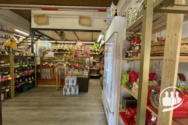 negozio in vendita a Torino in zona Crocetta