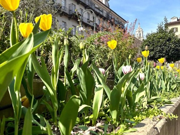 appartamento in vendita a Torino in zona Centro Storico