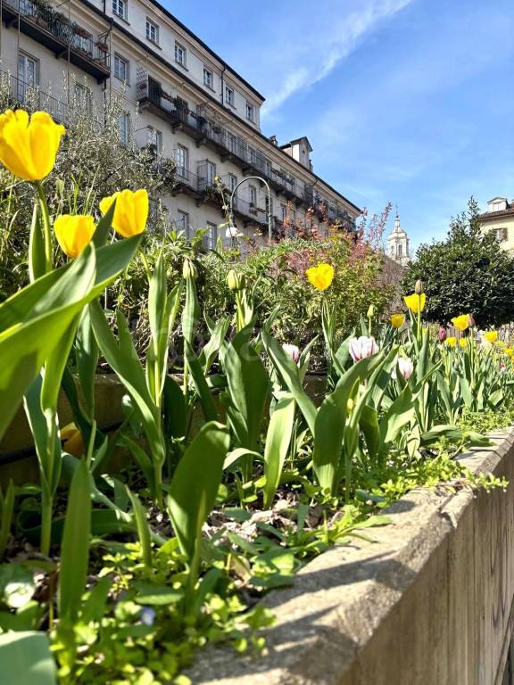 appartamento in vendita a Torino in zona Centro Storico