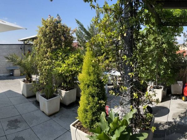 appartamento in vendita a Torino in zona Parella