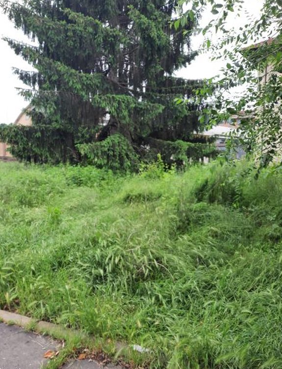 terreno edificabile in vendita a Torino