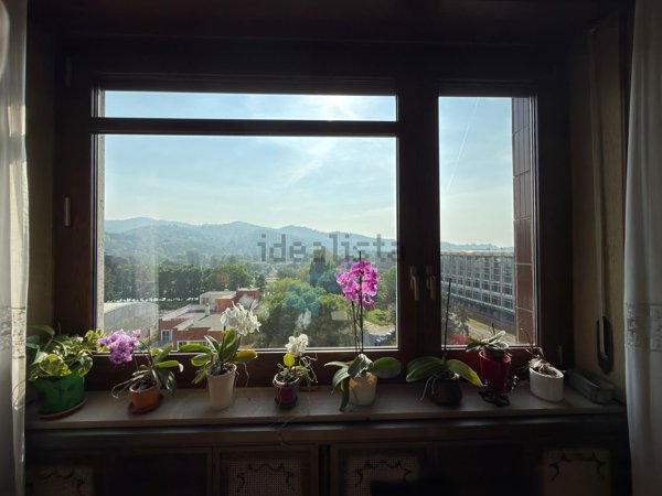 appartamento in vendita a Torino in zona Millefonti