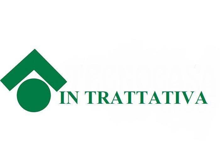 appartamento in vendita a Torino in zona Borgo San Paolo