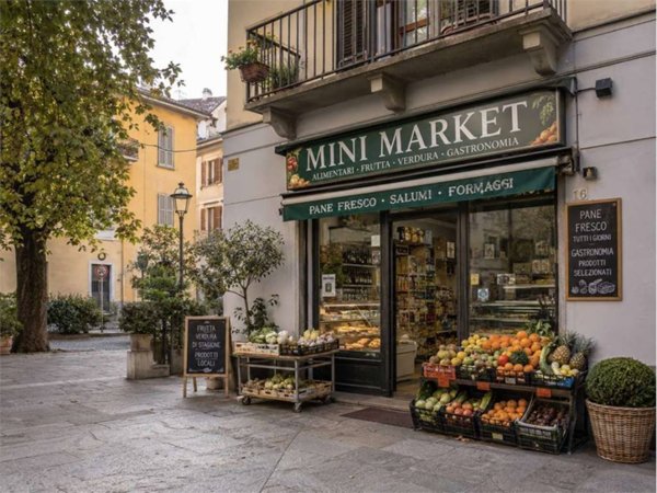 negozio in vendita a Torino in zona Gran Madre