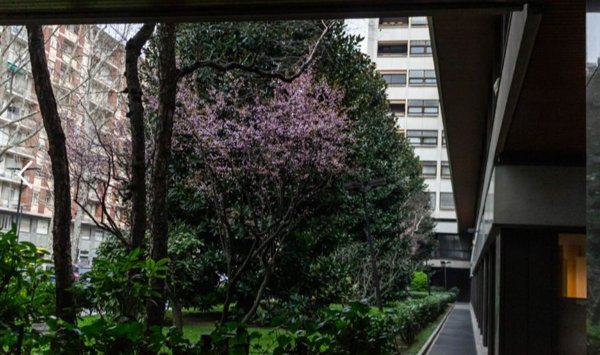 appartamento in vendita a Torino in zona Crocetta