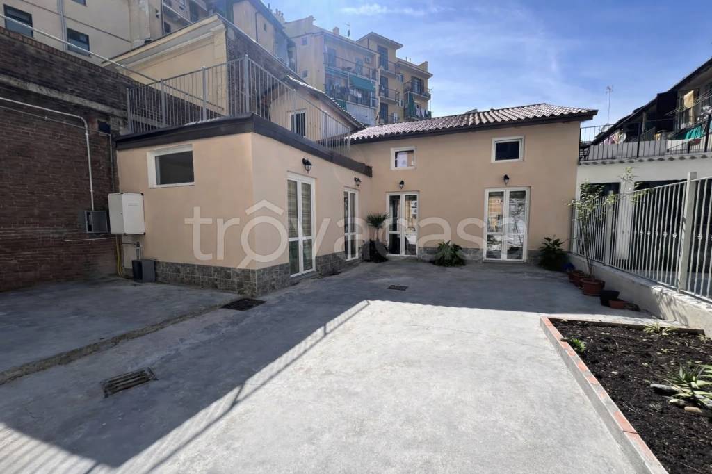 casa indipendente in vendita a Torino in zona Borgata Vittoria
