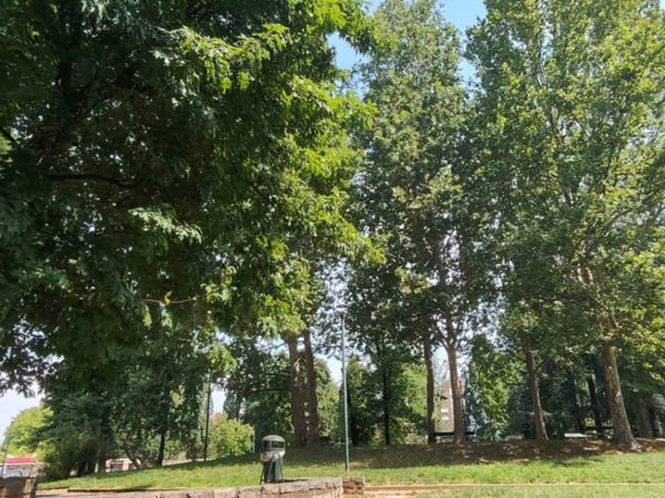appartamento in vendita a Torino in zona Madonna di Campagna