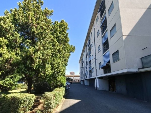 appartamento in vendita a Torino in zona Falchera