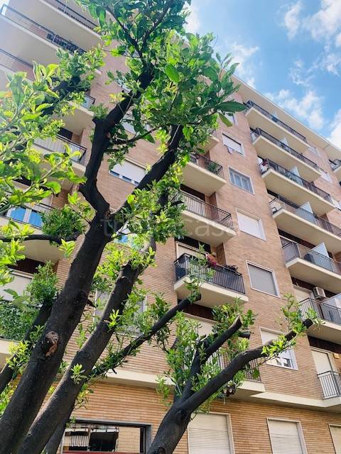 appartamento in vendita a Torino in zona Borgata Vittoria