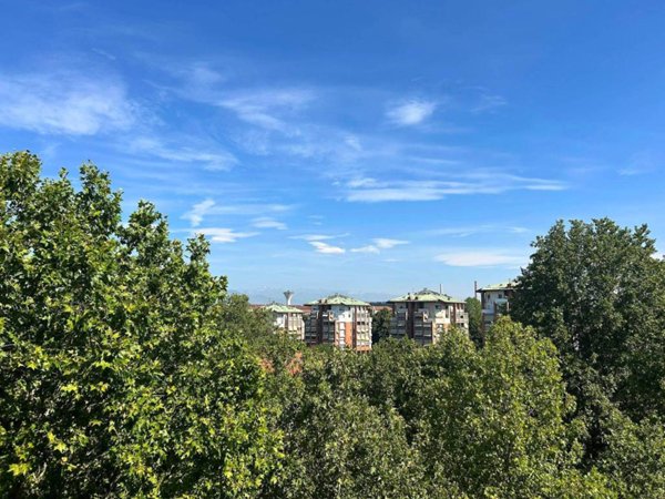 appartamento in vendita a Torino in zona Mirafiori Sud
