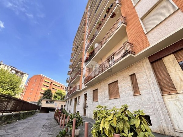 appartamento in vendita a Torino in zona Borgata Vittoria