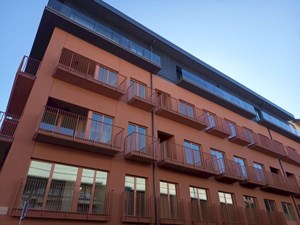 appartamento in vendita a Torino in zona Regio Parco
